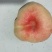 早熟蟠桃口感细腻甜度高成熟早