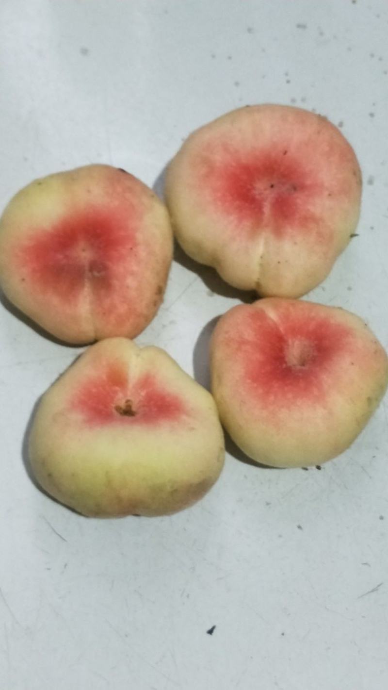 早熟蟠桃口感细腻甜度高成熟早