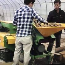 移栽机单垄单行起垄机旋耕起垄旋耕覆膜