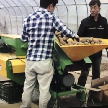 移栽机单垄单行起垄机旋耕起垄旋耕覆膜