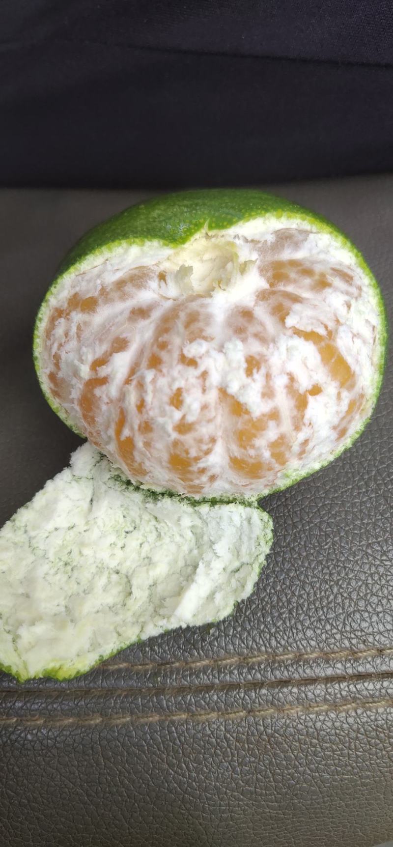 湖南永州市特早蜜桔大量现货供应欢迎来电咨询