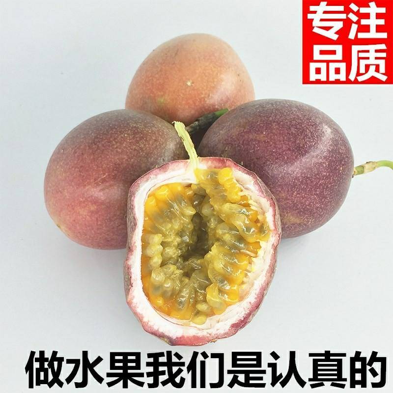 百香果零售批发（基地直供）
