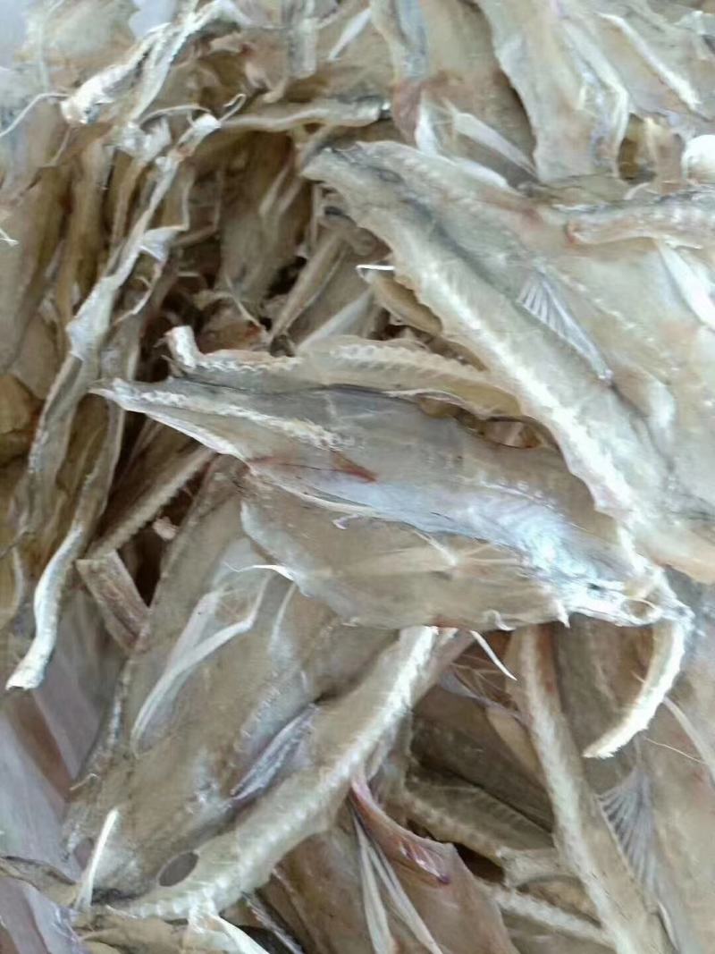 龙头鱼干，鲜度很好，当天晒干