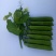 乐美豌豆仁种子（吃米专用）视频图片看货