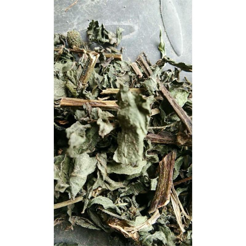 旱莲草过筛净货量大优惠代抓各种药方