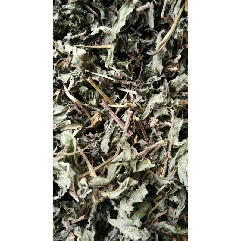 旱莲草过筛净货量大优惠代抓各种药方