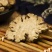 大片川芎选货野生货干度好量大优惠代抓各种药方