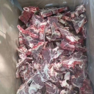 【一手货源】牛背骨保质保量厂家直销欢迎咨询