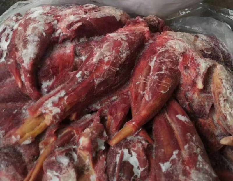 【健子肉】驴腱子各种腱子颜色鲜质量好出肉率高