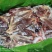 【健子肉】驴腱子各种腱子颜色鲜质量好出肉率高