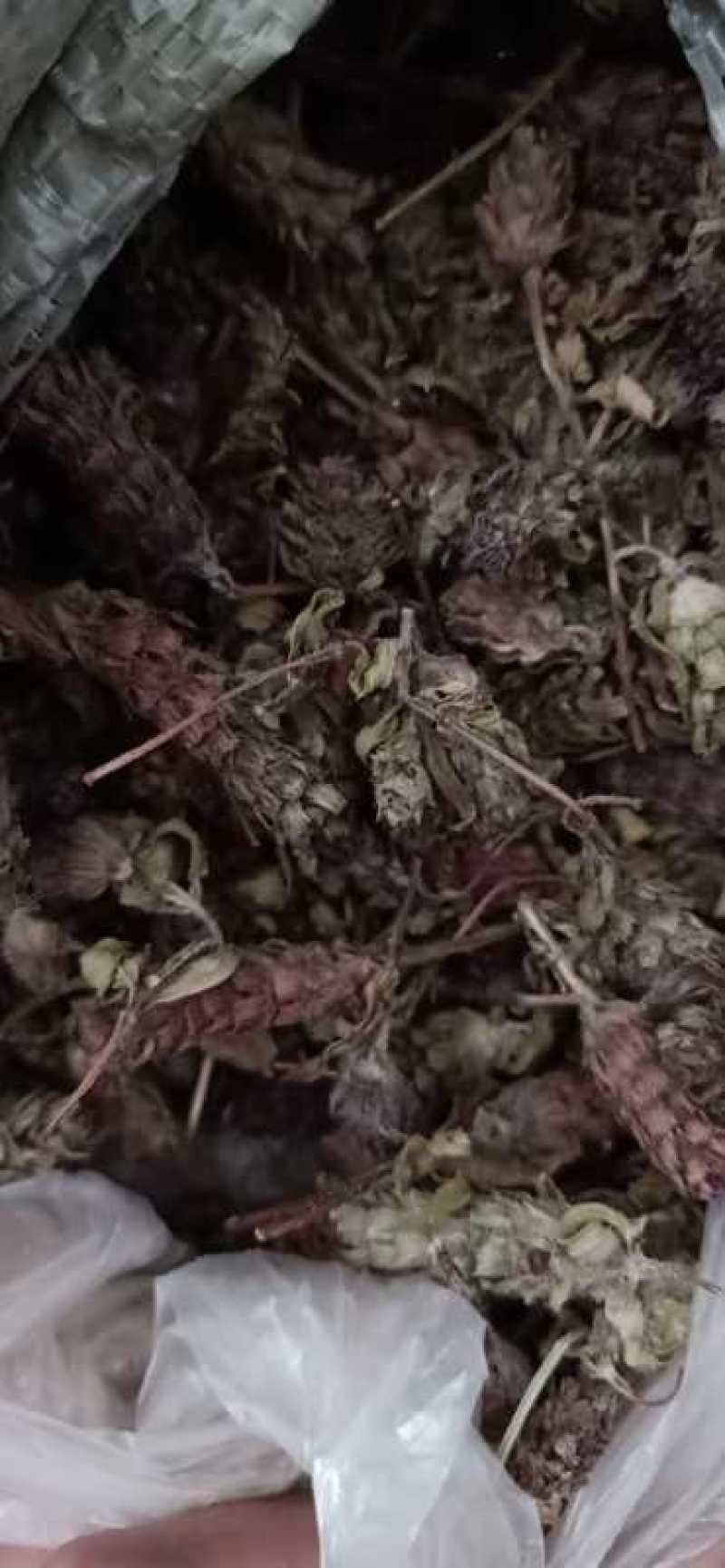 夏枯草，野生贵州货，含量高，干净无霉