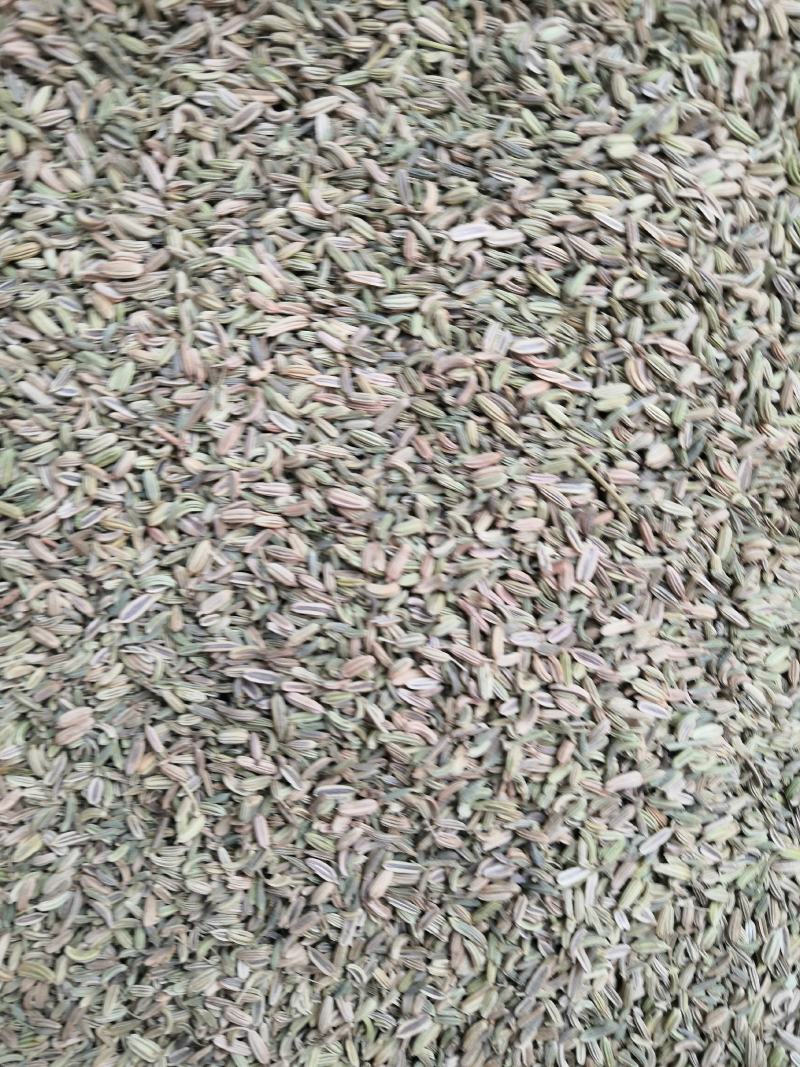 小茴香大货批发一手货源价格优！量大包邮。