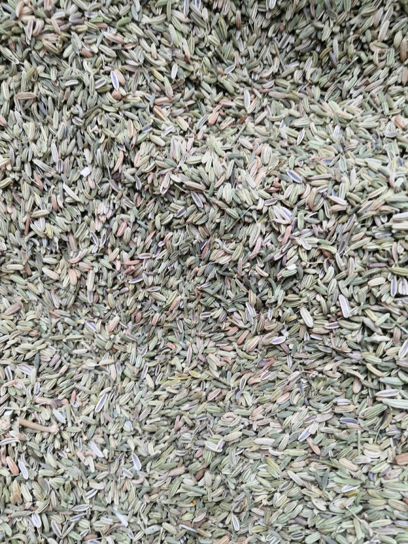 小茴香大货批发一手货源价格优！量大包邮。
