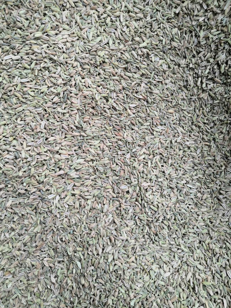 小茴香大货批发一手货源价格优！量大包邮。