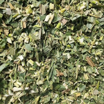 本公司常年出售各种牛羊草料甜玉米秸秆青储全珠