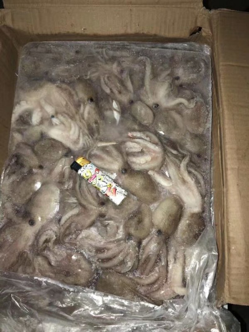 八爪鱼，船冻八爪品质新鲜，口感脆嫩，没有任何添加剂，长期