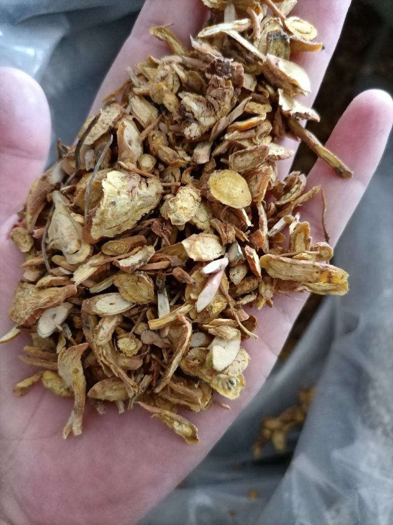 【傲宇药材】黄芩甘肃货颜色好片形大
