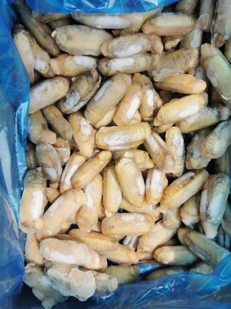 单冻缢蛏小人仙单冻小人仙
