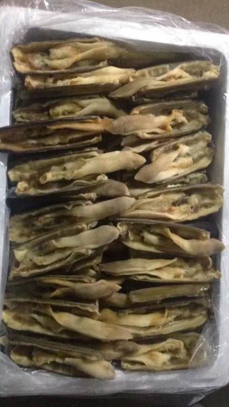 蛏子开片蛏子无冰无水