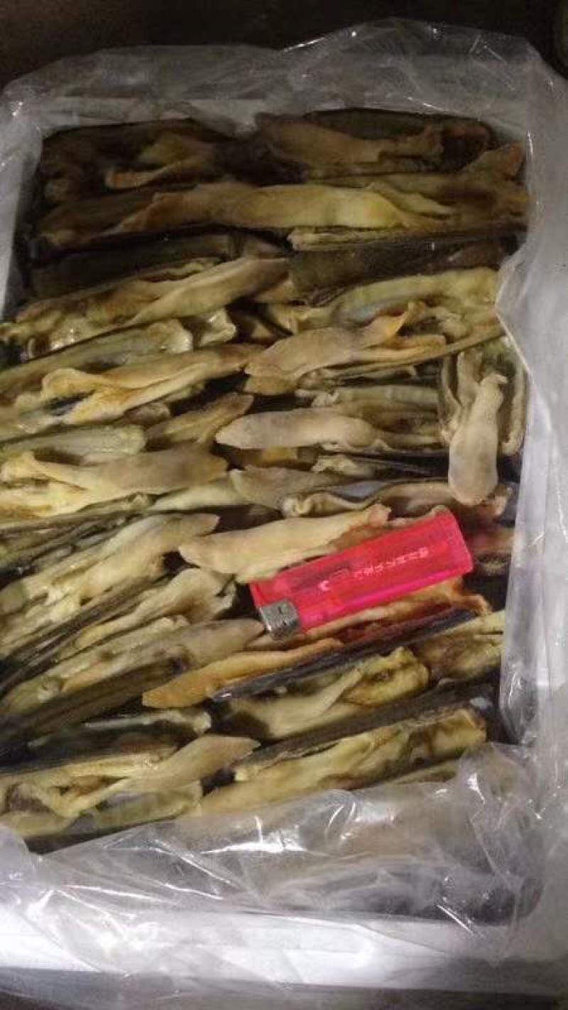 蛏子开片蛏子无冰无水