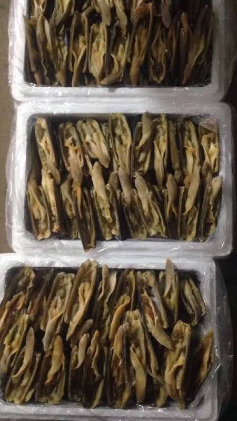 蛏子开片蛏子无冰无水