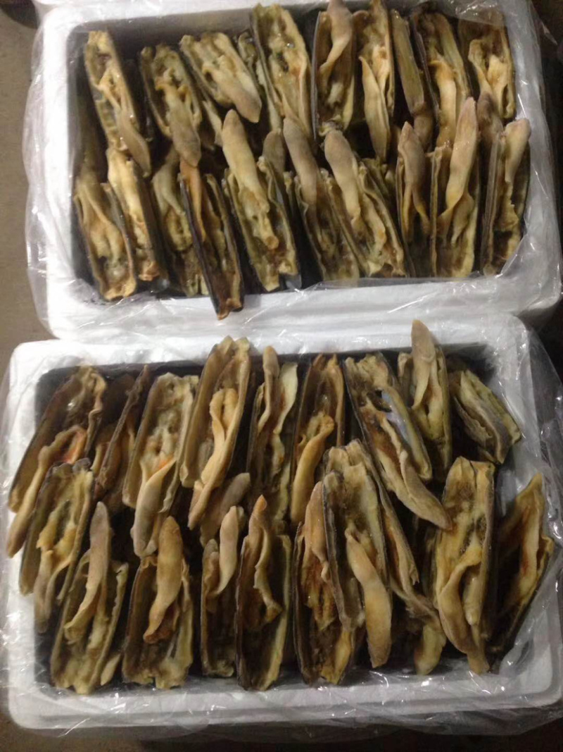 蛏子开片蛏子无冰无水