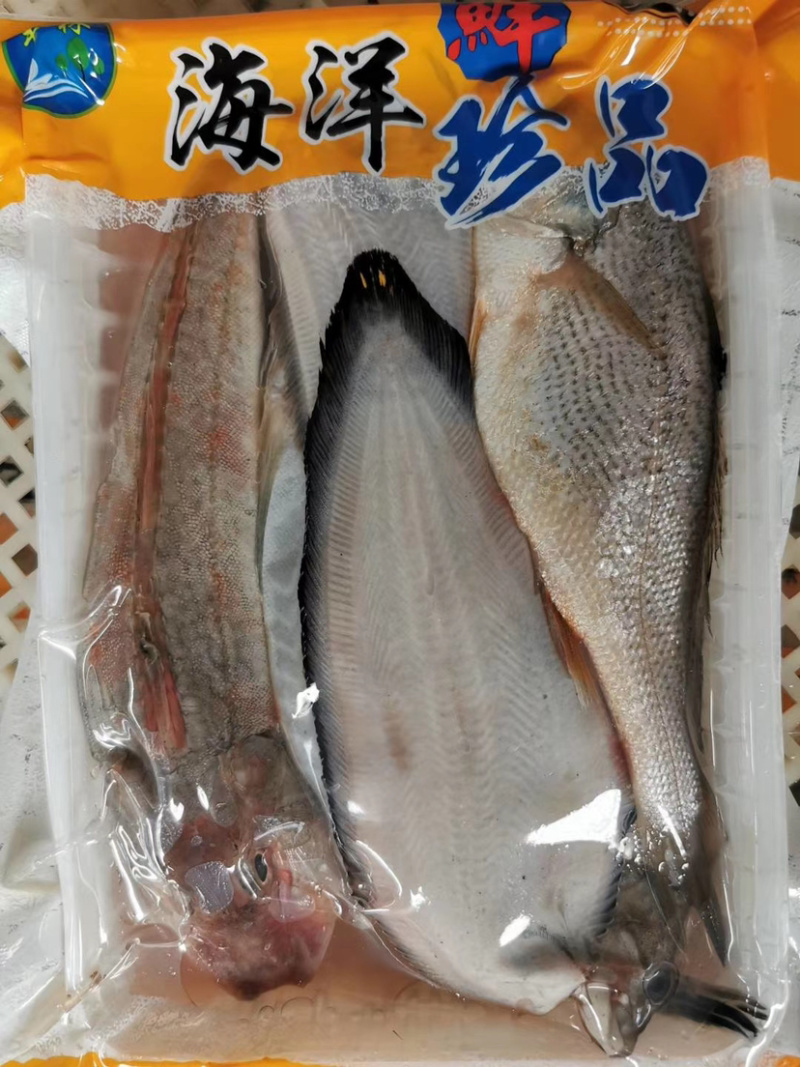 【有好货】海杂鱼组合海杂鱼海杂鱼组合