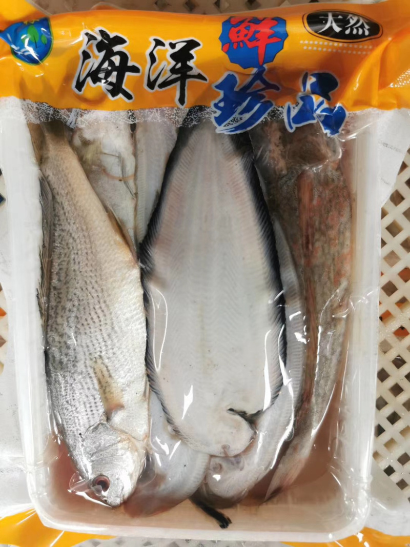 【有好货】海杂鱼组合海杂鱼海杂鱼组合