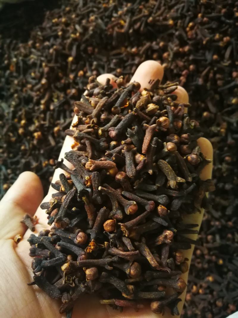 丁香公丁香各种香料量大从优调味料