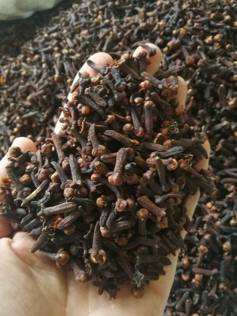丁香公丁香各种香料量大从优调味料
