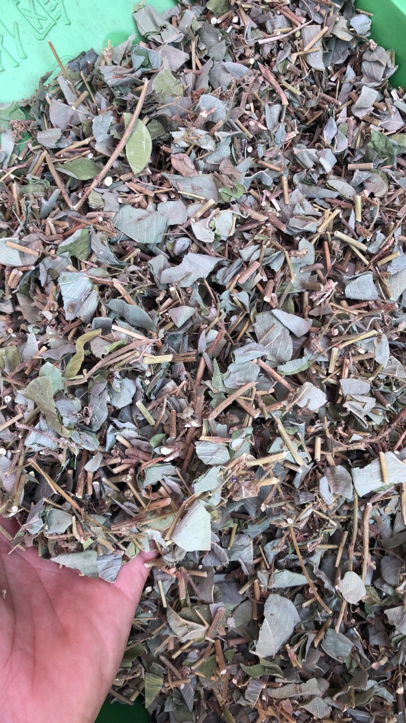 广西金钱草统货条子扎把的都有