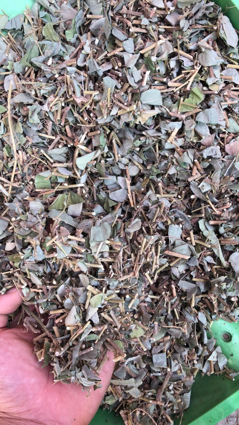广西金钱草统货条子扎把的都有
