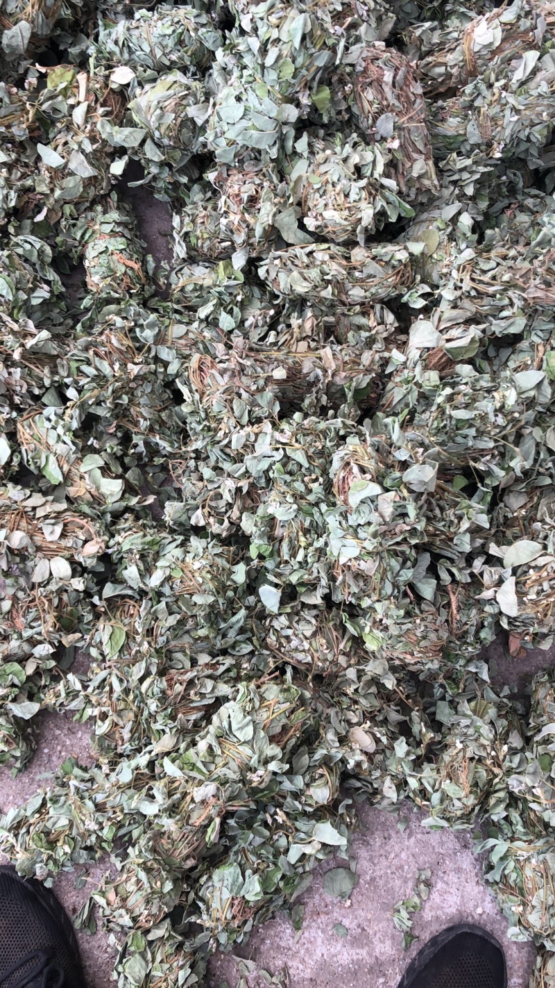 广西金钱草统货条子扎把的都有