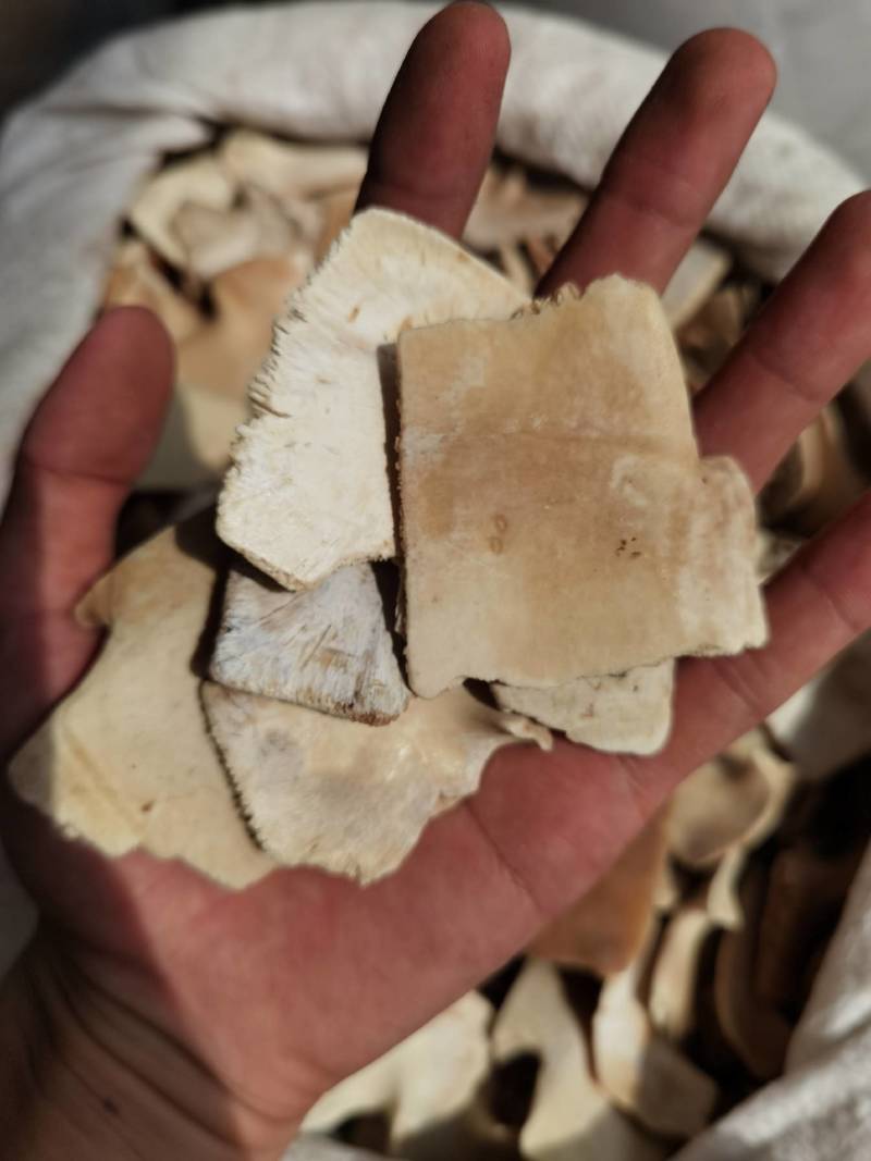 龟板醋龟板旱龟板草龟板非巴西龟正品可药检质量保证