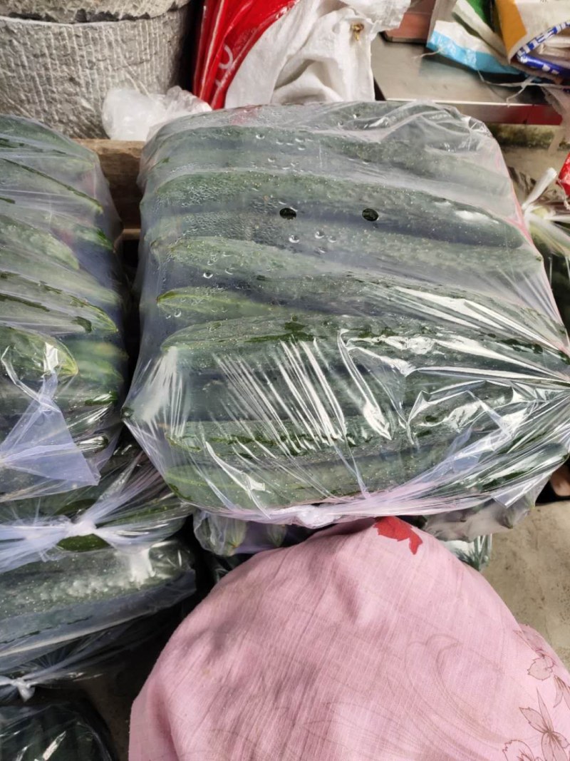黄瓜优质黄瓜大量上市自己一手货源质量有保障欢迎咨询