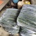 黄瓜优质黄瓜大量上市自己一手货源质量有保障欢迎咨询