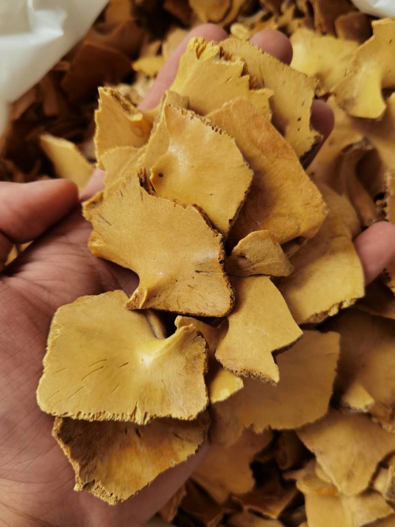 龟板醋龟板旱龟板草龟板非巴西龟正品可药检质量保证