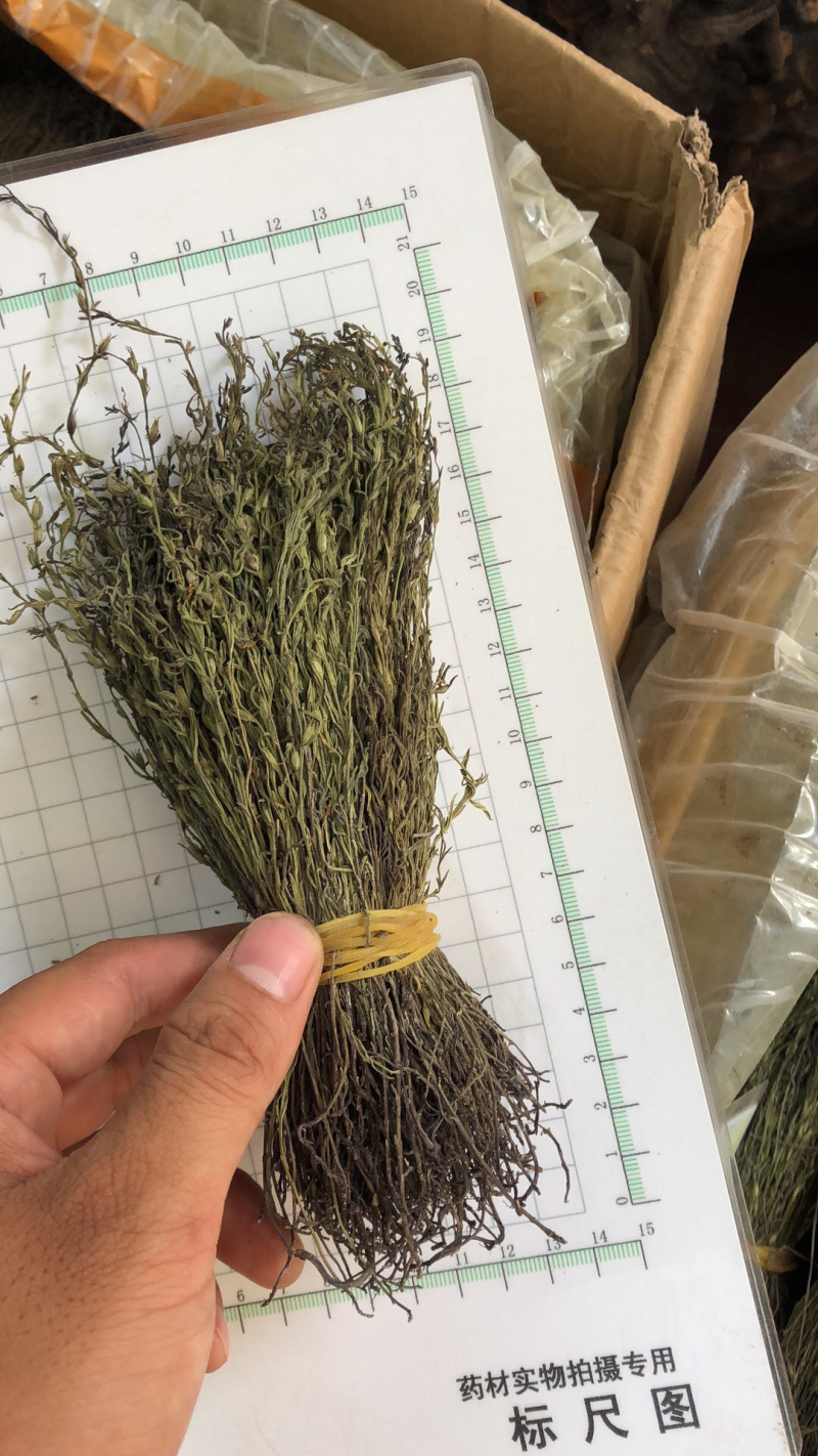 新货野生独脚金扎小把的精品