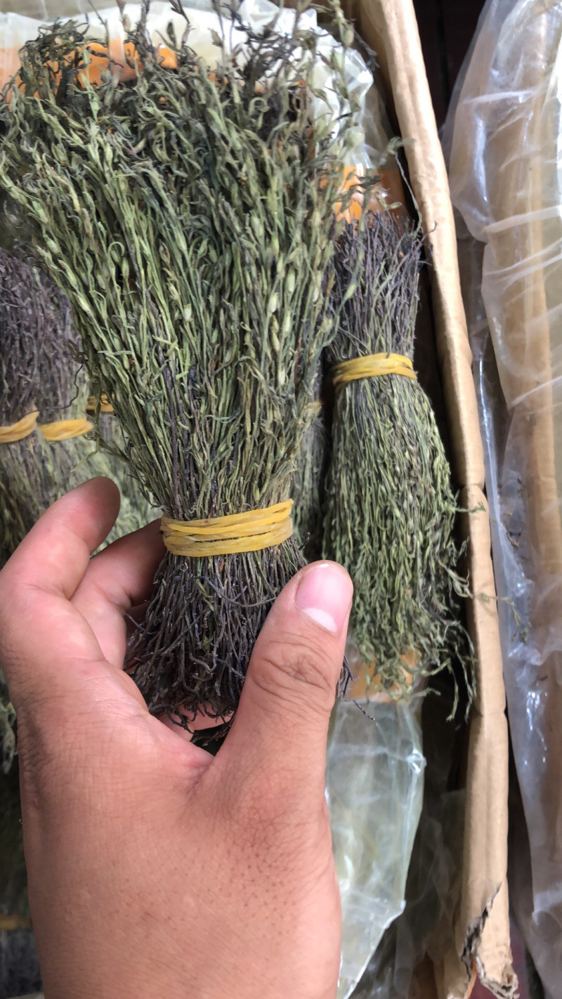 新货野生独脚金扎小把的精品