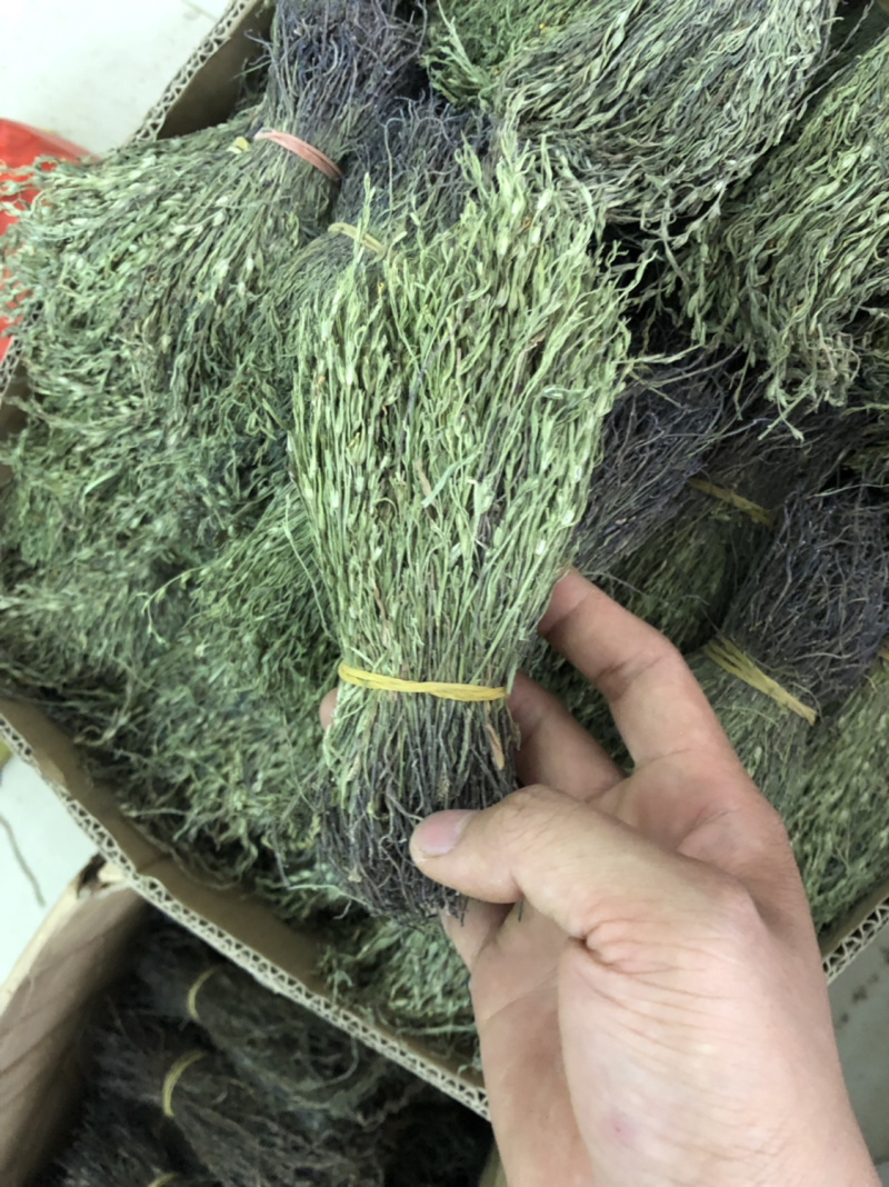 新货野生独脚金扎小把的精品