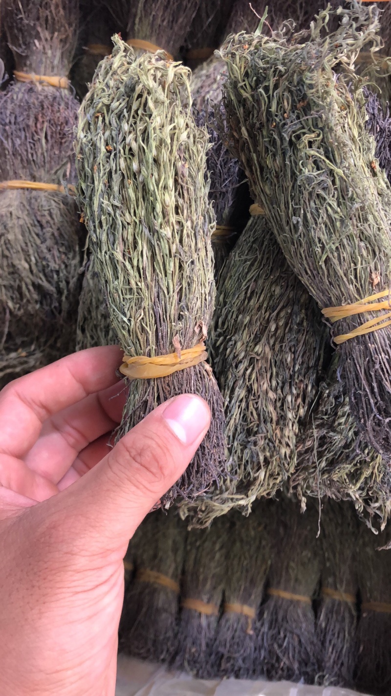 新货野生独脚金扎小把的精品