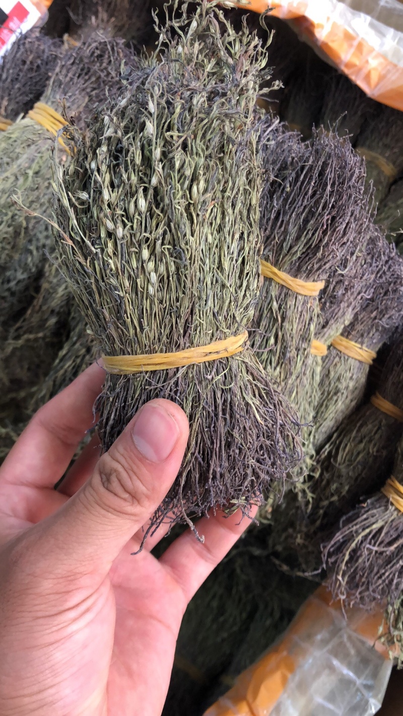 新货野生独脚金扎小把的精品