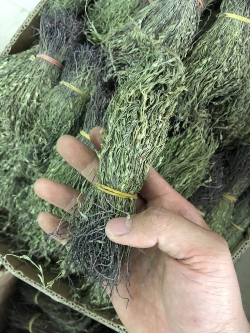 新货野生独脚金扎小把的精品