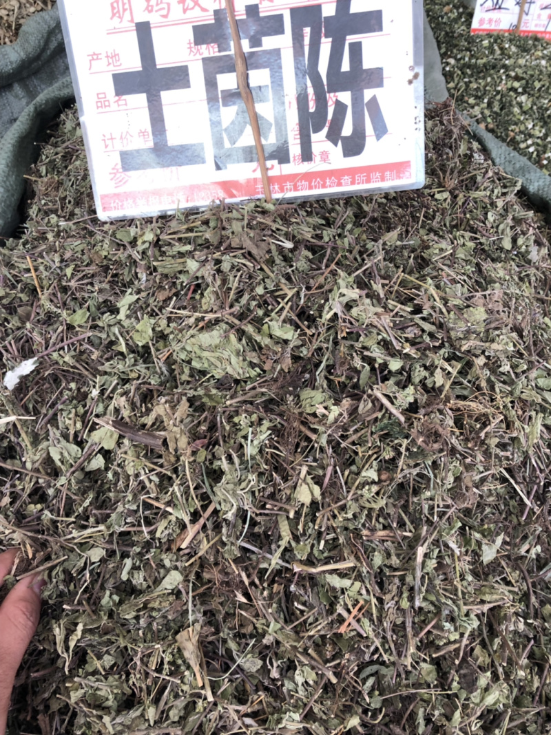 中药材新货土茵陈也叫牛至条子都有
