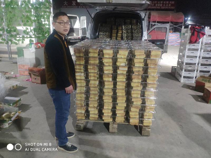 盒装鲜面包山东发货，一盒1.4kg，12个面包