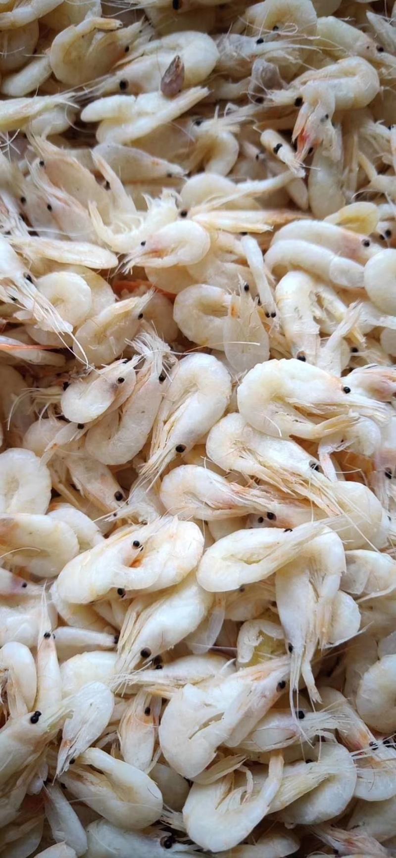 蹦虾，麦穗虾，蹦蹦虾，麦秆虾
