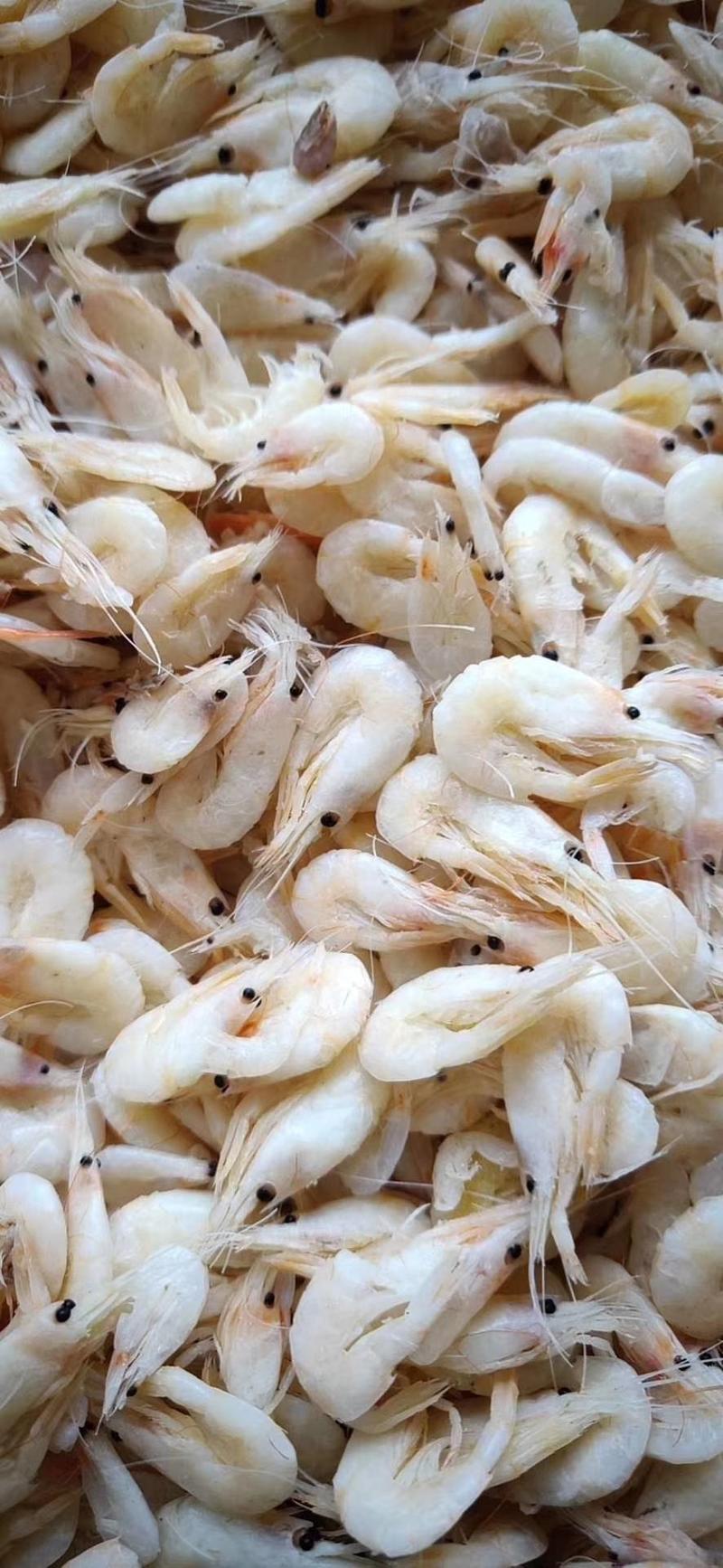 蹦虾，麦穗虾，油炸小虾原料，小虾米，源头直供