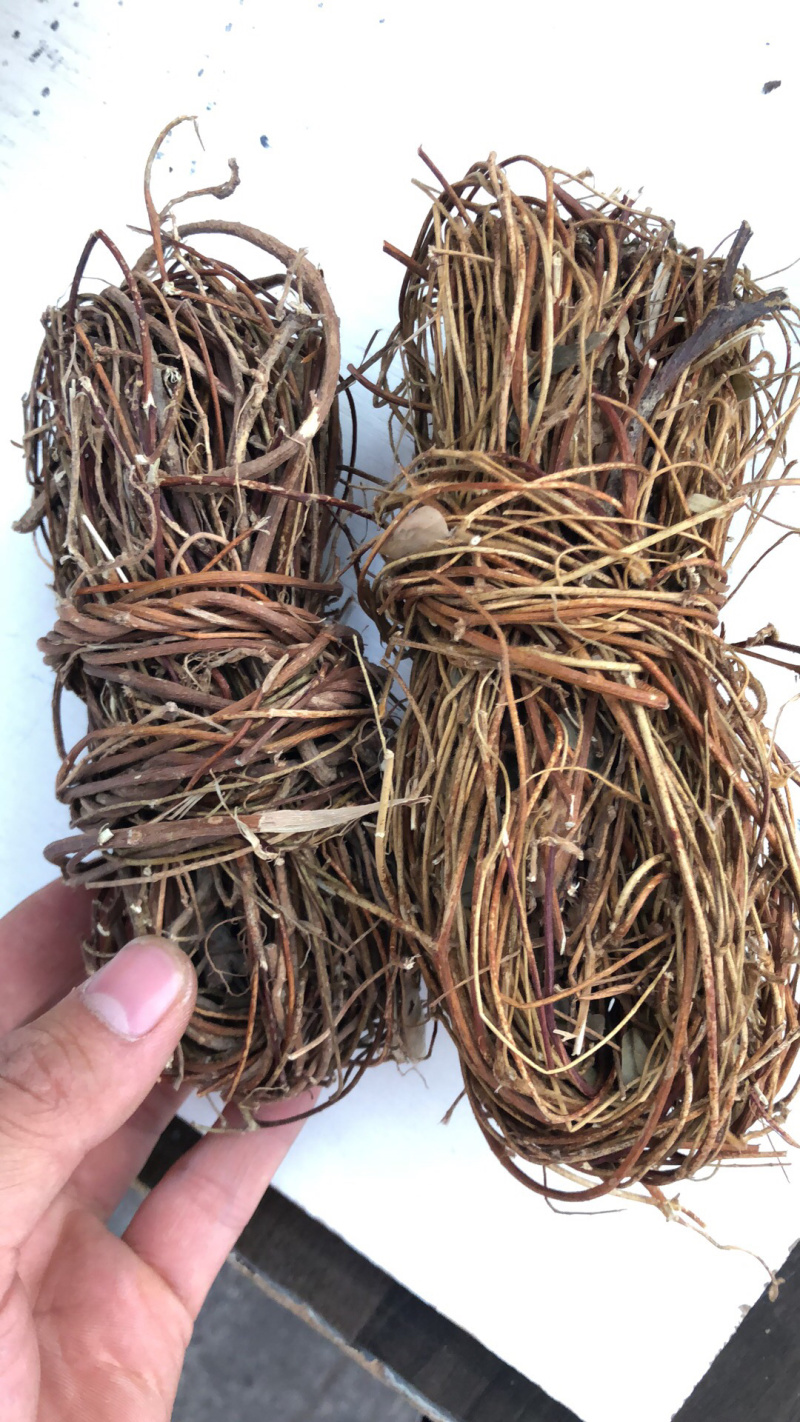 新货广西鸡骨草扎把无硫光杆