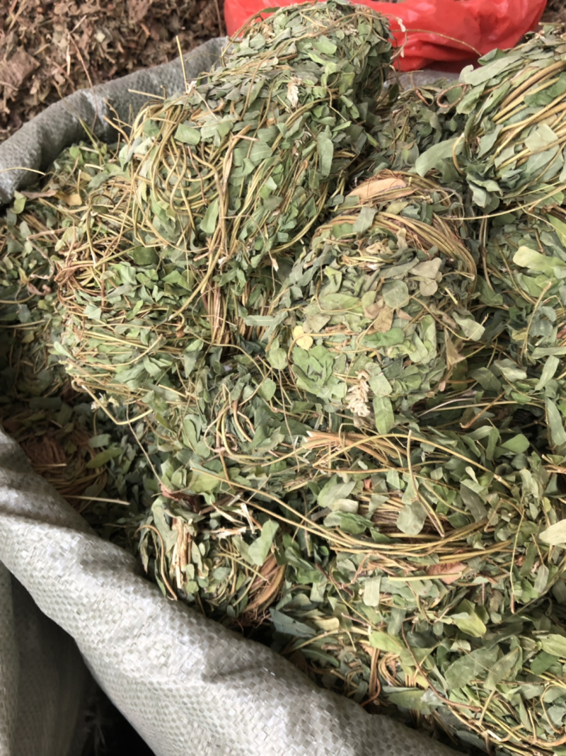 新货广西鸡骨草扎把无硫光杆