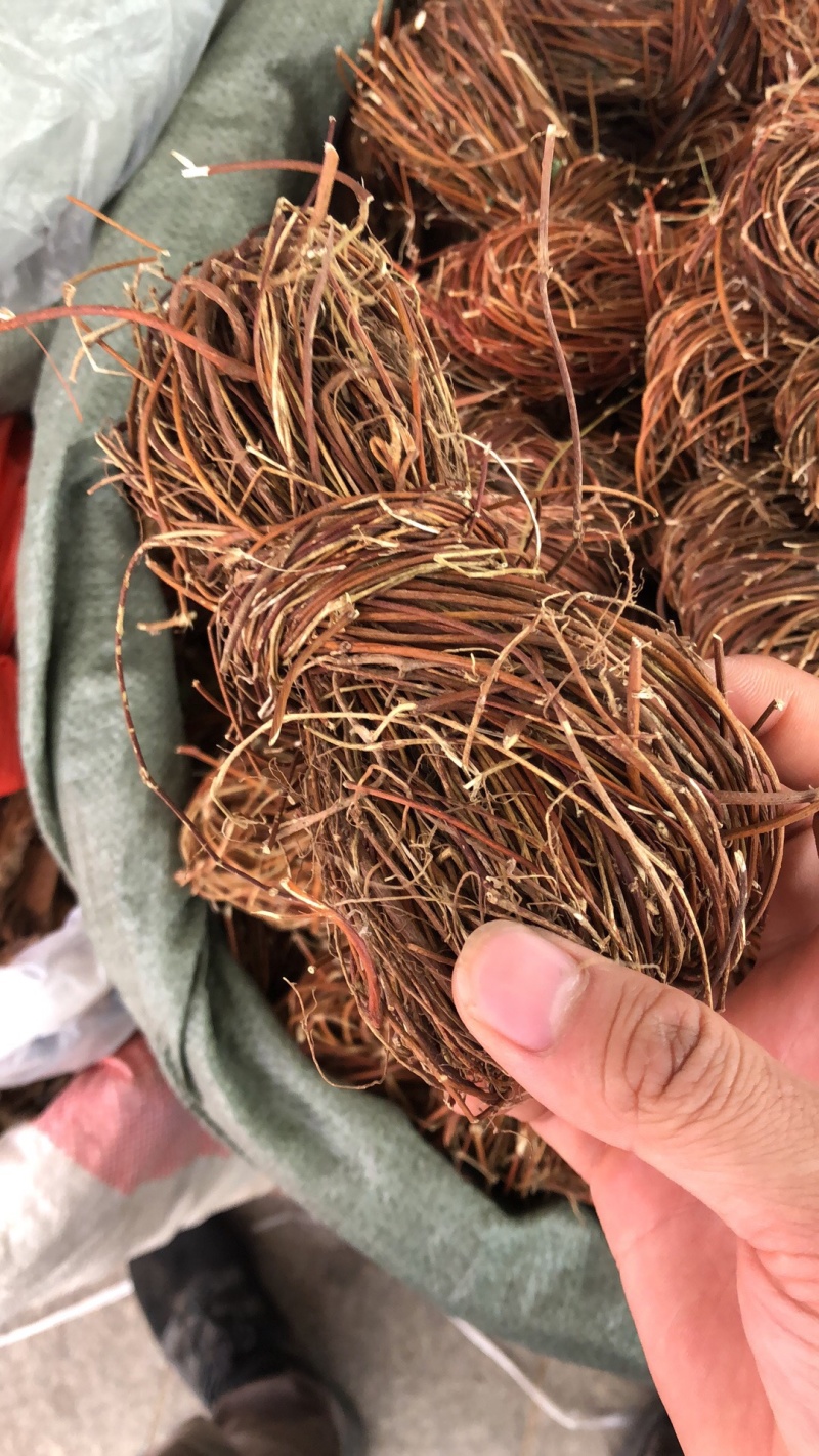 新货广西鸡骨草扎把无硫光杆